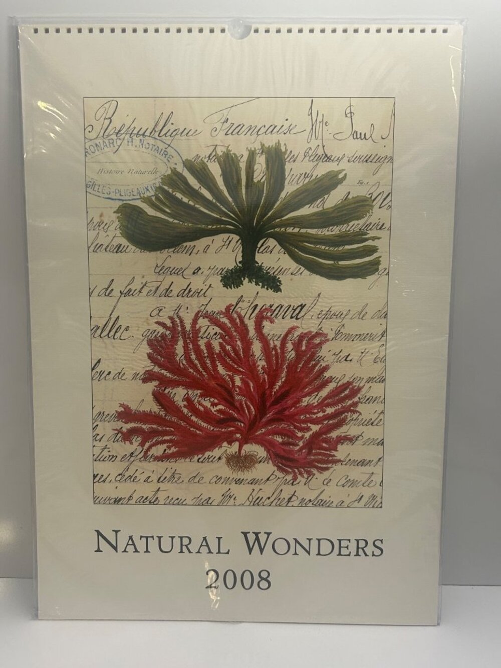 2008 Cavallini Natural Wonders Sea Life Art Calendar Loose Pages 19 x 13.5